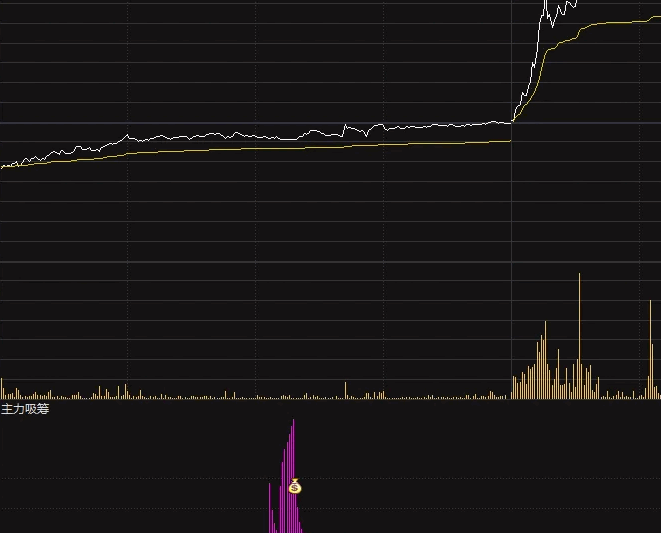 【最近很火的指标】通达信【主力吸筹】分时副图指标，出钱袋子顶个筹码，就是建仓信号！