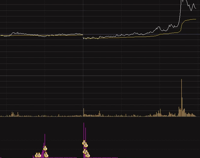 【最近很火的指标】通达信【主力吸筹】分时副图指标，出钱袋子顶个筹码，就是建仓信号！