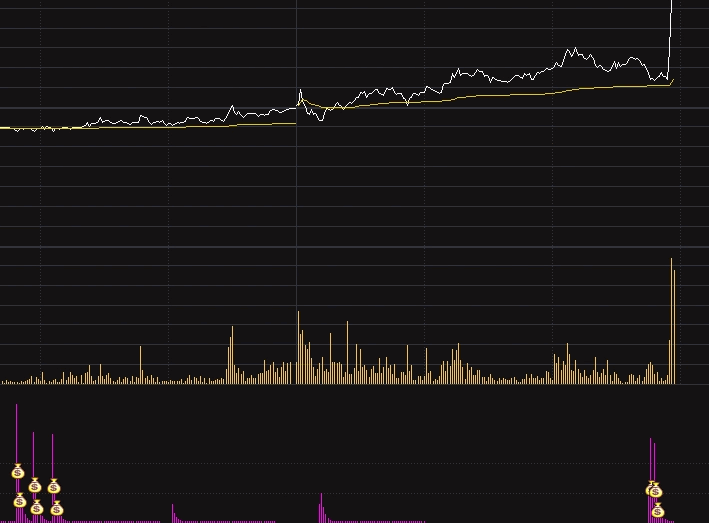 【最近很火的指标】通达信【主力吸筹】分时副图指标，出钱袋子顶个筹码，就是建仓信号！