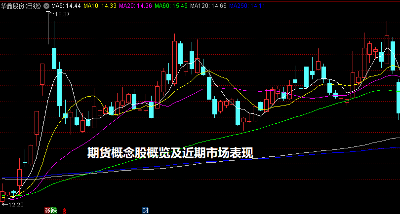 期货概念股概览及近期市场表现