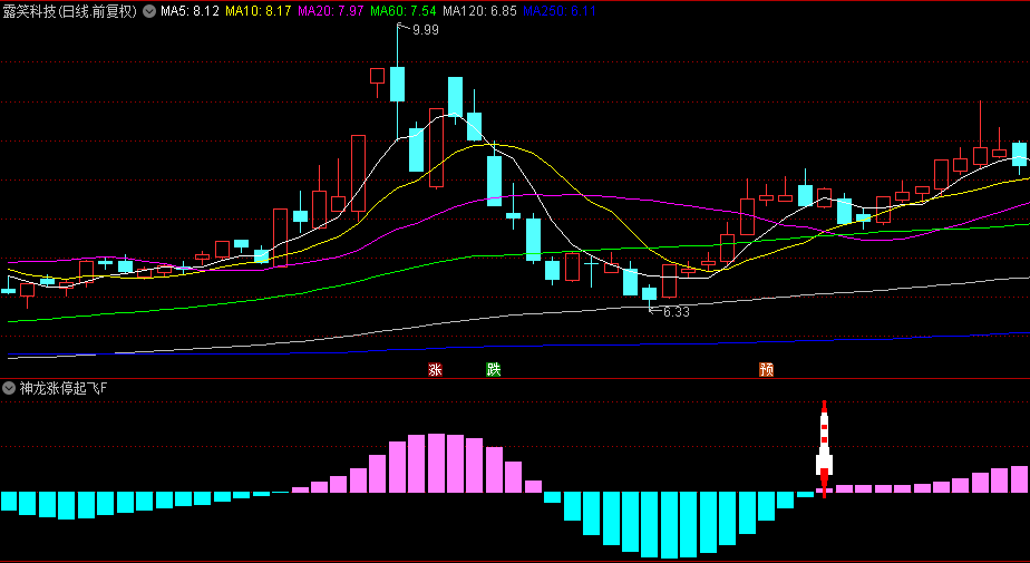 【神龙涨停起飞】副图+选股指标，判断动量的反转与持续，预警后续起飞上涨信号！