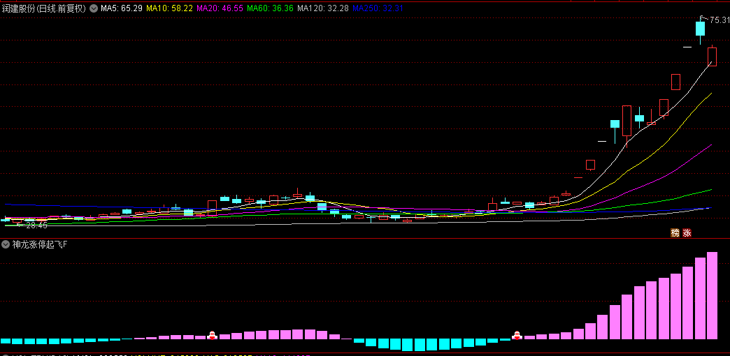 【神龙涨停起飞】副图+选股指标，判断动量的反转与持续，预警后续起飞上涨信号！
